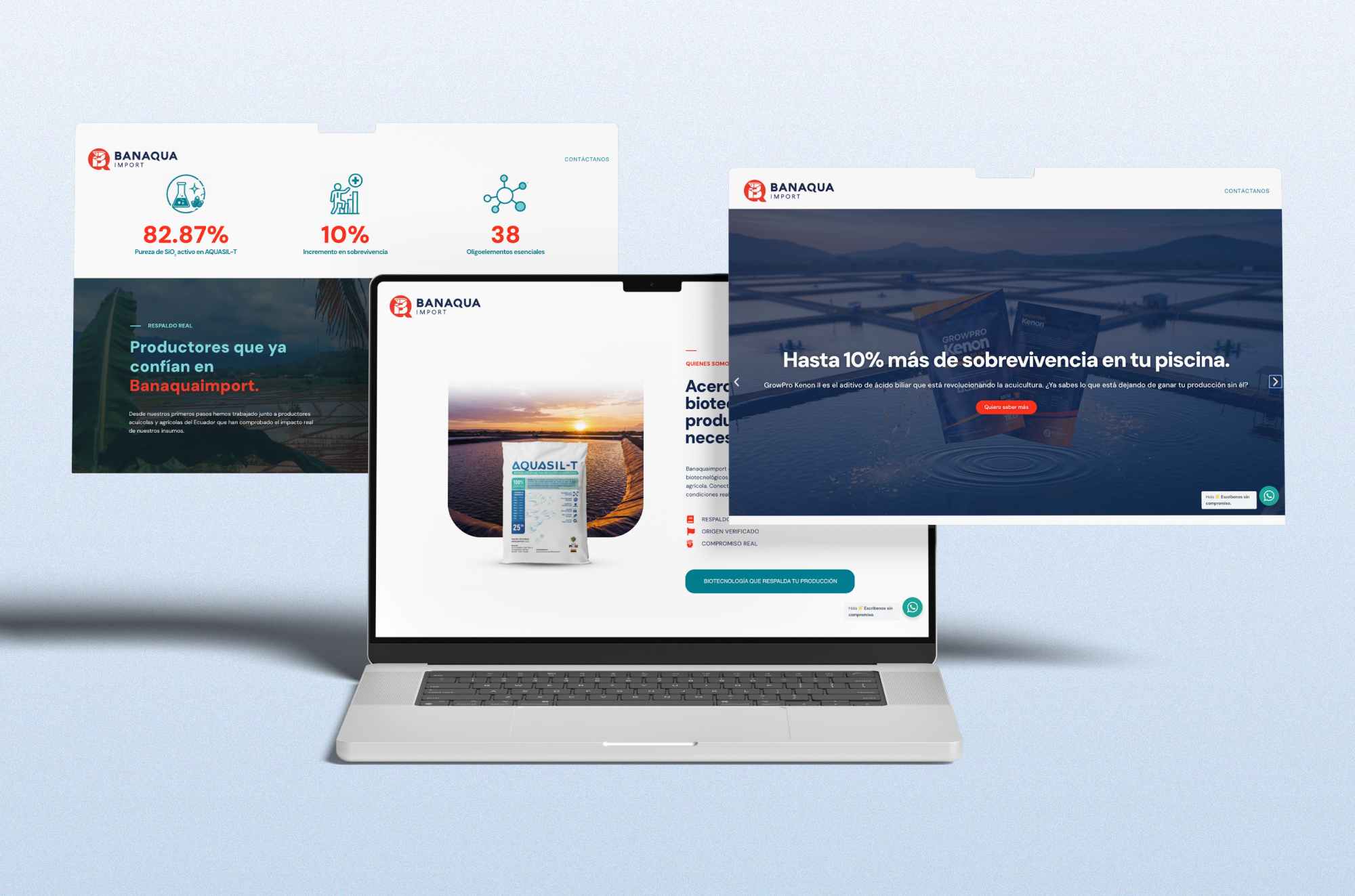 Website Design & Development